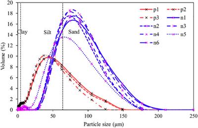 The Hummocky Patches and Associated Sediment Dynamics Over an Accretional Intertidal Flat